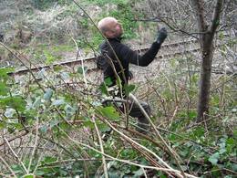 pruning apple tree montpelier railway embankment bristol heath bunting 