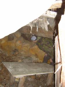 foret de fontainebleau hidden house heath bunting