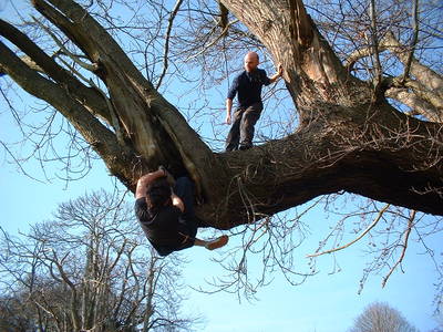 tree climbing day heath bunting ashton court bristol