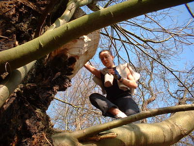 tree climbing day kate rich ashton court bristol
