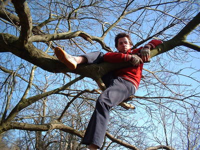 tree climbing day saul albert ashton court bristol