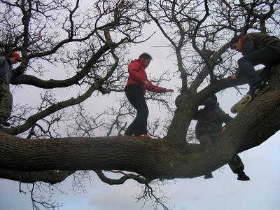 tree climbing day ashton court chani morrison