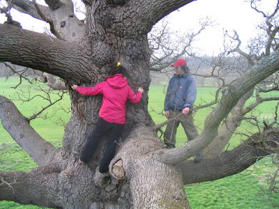 tree climbing day ashton court chani morrison graeme hogg