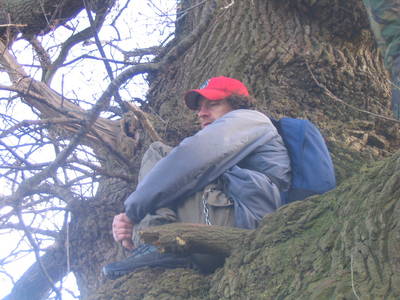 tree climbing day ashton court graeme hogg
