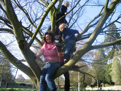 tree climbing day ashton court lady lucy marvin koch