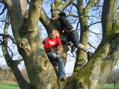 tree climbing day 