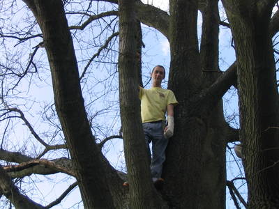 tree climbing day 