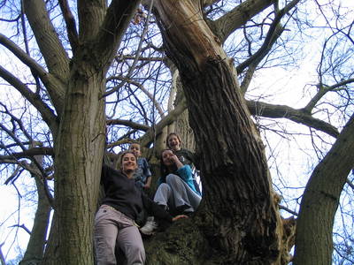 tree climbing day chani morrison anna appleton