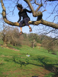 tree climbing day kayle brandon