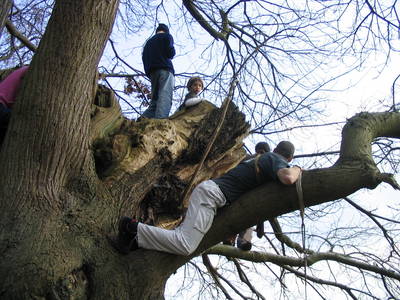 tree climbing day simon hard