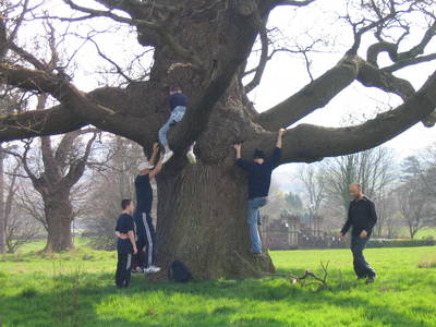 tree climbing day simon hardy heath bunting