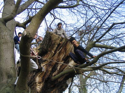 tree climbing day simon hardy kayle brandon