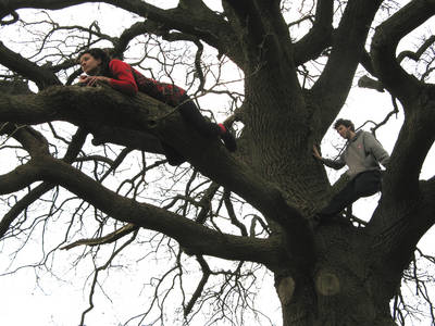 tree climbing day