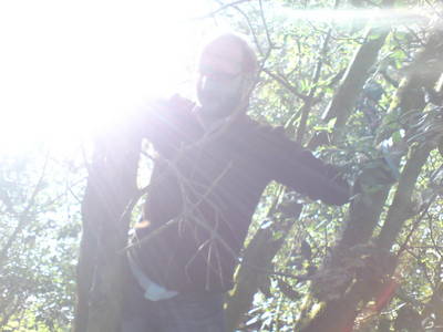 tree climbing day