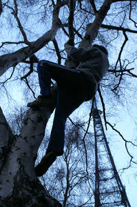 tree climbing day john climbs
