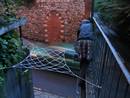 red net model03 marlborough hill bristol03 ( )