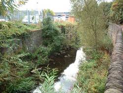 river frome before01 ( )