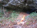 avon gorge big brother cave fire, bristol, united kingdom (uk).
