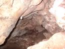 avon gorge big brother cave spider egg sac, bristol, united kingdom (uk).