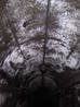 avon gorge bunker roof condensation, bristol, united kingdom (uk).