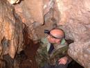  avon gorge cobweb cave heath bunting, bristol, united kingdom (uk).