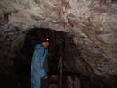  giants cave avon gorge heath bunting, bristol, united kingdom (uk).