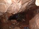 avon gorge mousehole cave heath bunting, bristol, united kingdom (uk).