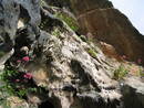 avon gorge pool cave flow stone, bristol, united kingdom (uk).