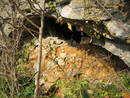 avon gorge shatter hole cave, bristol, united kingdom (uk).