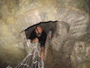 avon gorge st vincents spring cave net ladder heath bunting, bristol, united kingdom (uk).