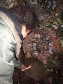  goldney grotto kayle brandon, bristol, united kingdom (uk).