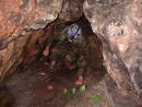 kingsweston quarry cave heath bunting, bristol, united kingdom (uk).