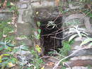 sea scout tunnel, bristol, united kingdom (uk).