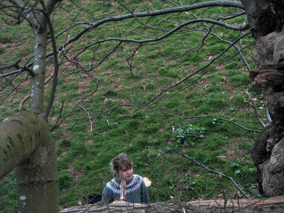 tree climbing day