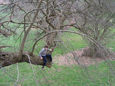 tree climbing day