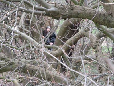 tree climbing day