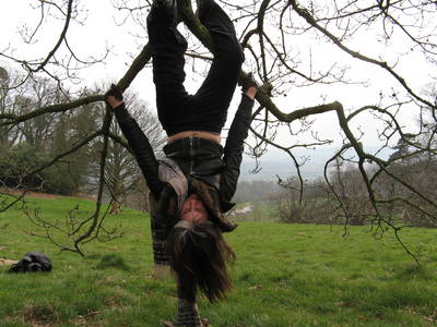 tree climbing day